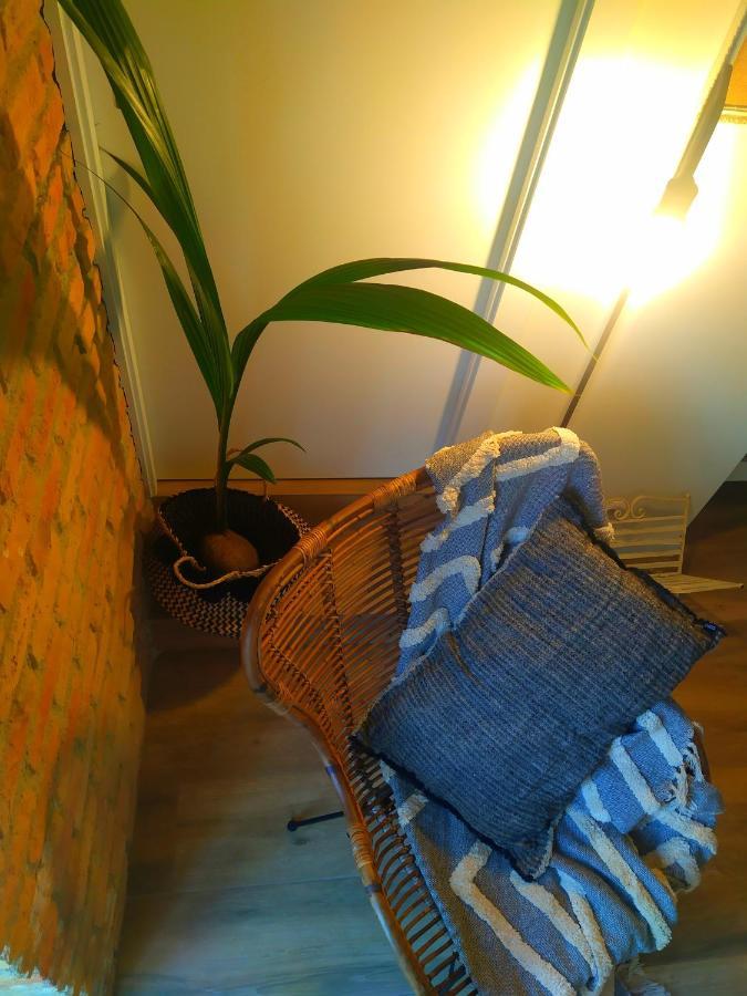 Arrels Apartaments L'Ampolla Ngoại thất bức ảnh